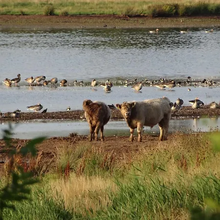 Ferienhaus Urlaub Am Im Mit Sauna Maasholm